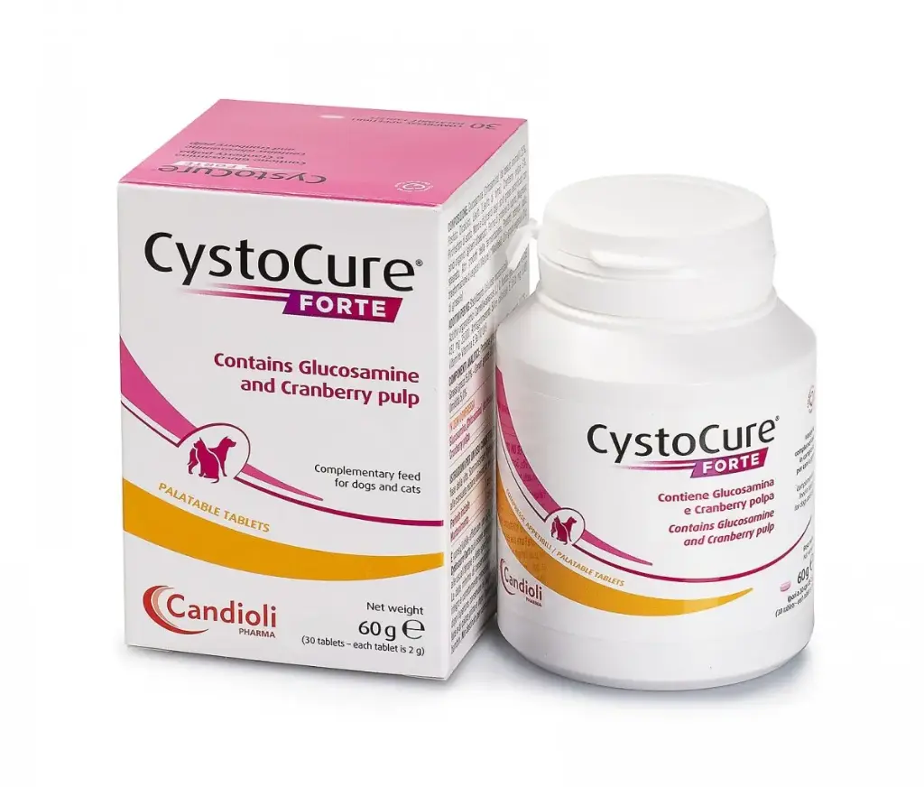 Cystocure Forte 30 Tab