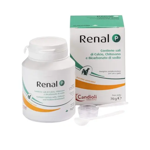 Renal P 70 gr Polvo